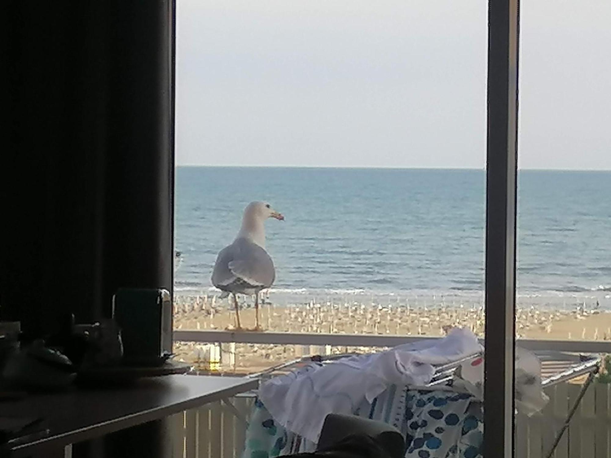 Villa Silente L Bibione Zewnętrze zdjęcie